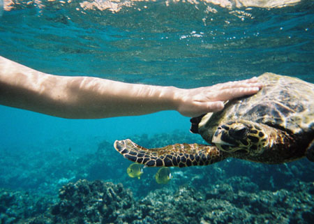 rencontre iles des soeurs