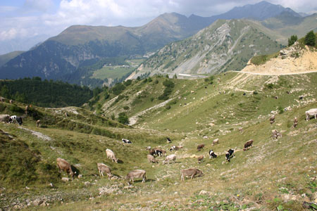 Paysage Â© Joseph GuÃ©gan ( 88 photos )