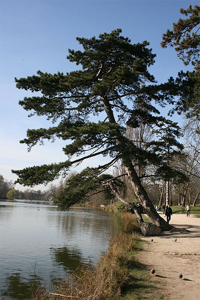 forum prostituées bois de vincennes