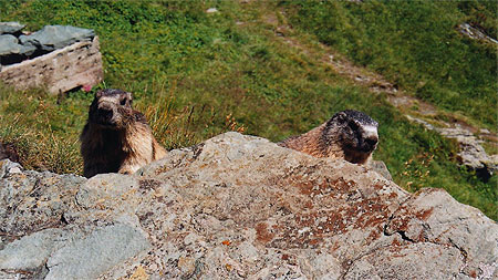 rencontre vienne autriche