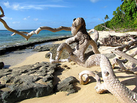 rencontre tonga