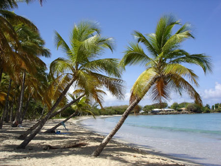 Martinique Les Salines