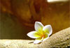 Bouddha et sa fleur