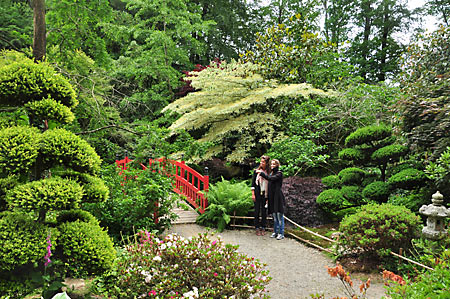 Parc floral de Haute Bretagne à Le Chatellier