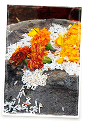 Offrandes lors d'une cérémonie bouddhiste au Temple de Mahadodhi, Bodh Gaya, Inde